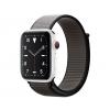 Apple Watch Series 5 Titanium
