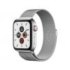 Apple Watch Series 5 Stainless Steel