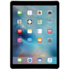 iPad Pro 12.9 1st Gen